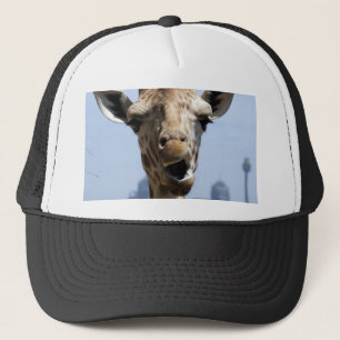 Casquette Girafe hé