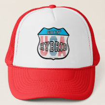 Goin Hybrid Patriotic Car Logo Art