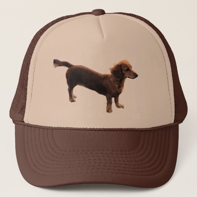 Casquette Golden Dachshund (Devant)