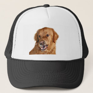 Casquette Golden Retriever