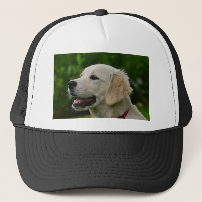 Casquette Golden Retriever (Devant)