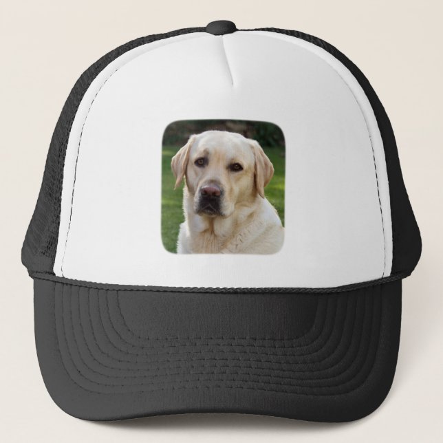 Casquette Golden Retriever Basball / Trucker Hat (Devant)