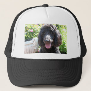 Casquette GoldenDoodle Abby 1