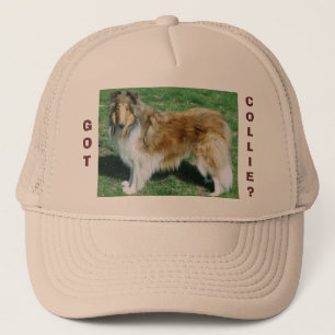 CASQUETTE GOT, COLLIE ?