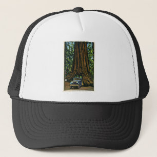 Casquette Grand arbre Wawona, verger de Mariposa, CA