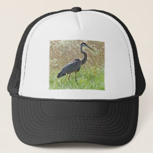 Casquette Grand héron bleu - Ardea herodias
