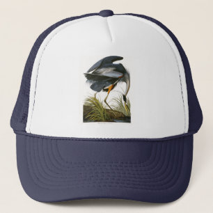 Casquette Grand héron bleu, John James Audubon