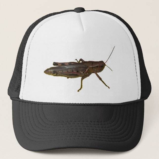 Casquette Grasshopper (Devant)