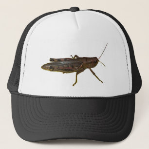 Casquette Grasshopper