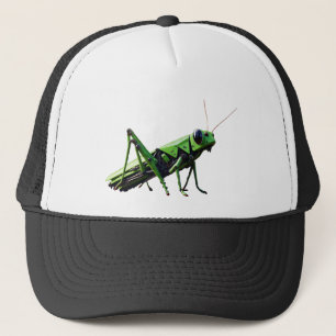 Casquette Grasshopper mécanique
