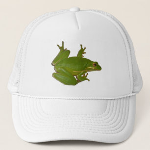 Casquette Green Treefrog