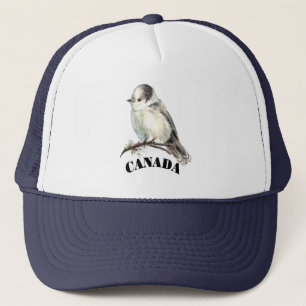 Casquette Gris Gris Jay Bird Bird National Birder Canada