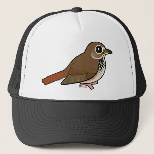 Casquette Grive d'ermite de bande dessinée