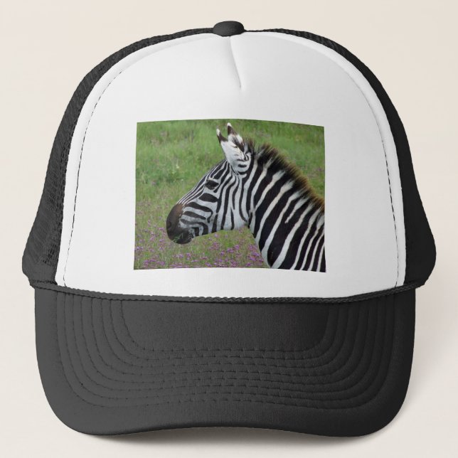 Casquette Gros plan de Ngorongoro Zebra (Devant)