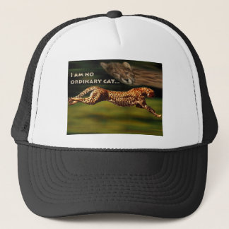 Casquette Guépard