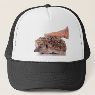 Casquette Hedgehog,