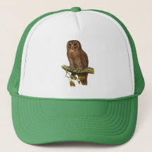 HIBOU