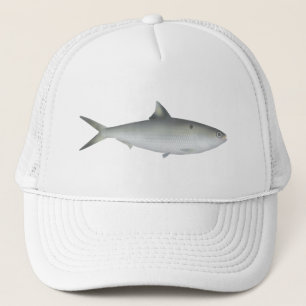 Casquette Hilsa Shad