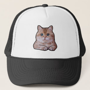Casquette Hosico Cat