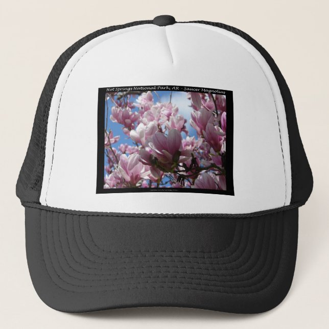 Casquette Hot Springs National Park AR Saucer Magnoia Cadeau (Devant)