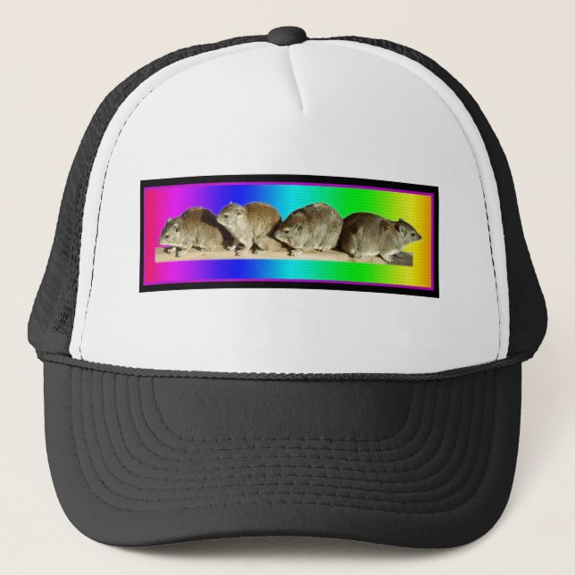Casquette Hyrax africain froid (Devant)