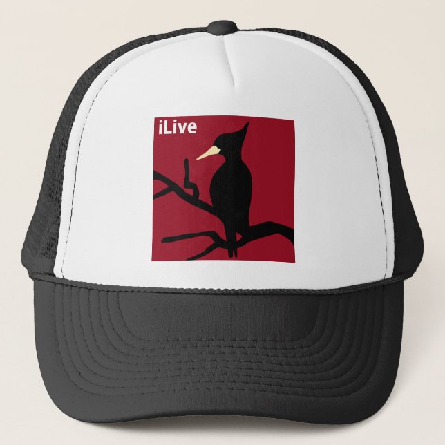 Casquette IBWO : iLive (Devant)
