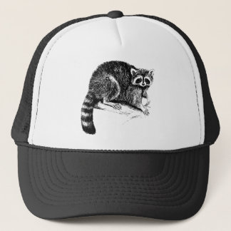 Casquette Illustration de raton laveur