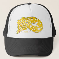Illustration du serpent python birman