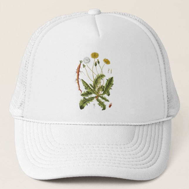 Casquette Illustration vintage du Dandelion (Devant)