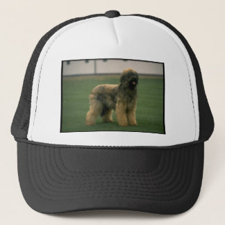 Casquette Image de chien de moutons