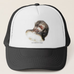 Casquette Image du Ferret de l'able