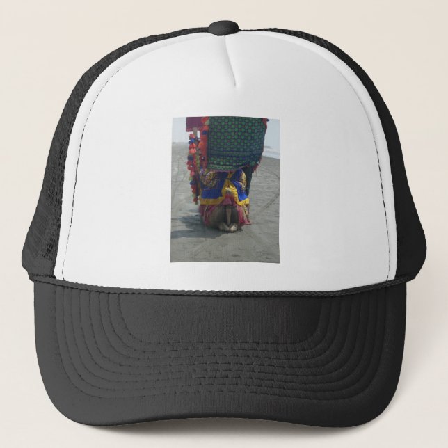 Casquette Imprimé/graphique en forme de chameau (Devant)