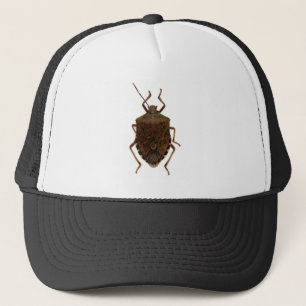 Casquette Insecte de puanteur
