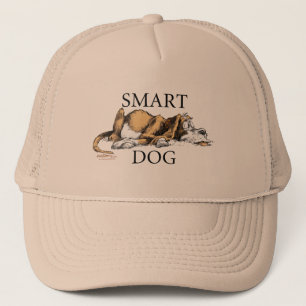 Casquette intelligent de chien