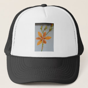 Casquette Iris tacheté orange appelé lys Blackberry
