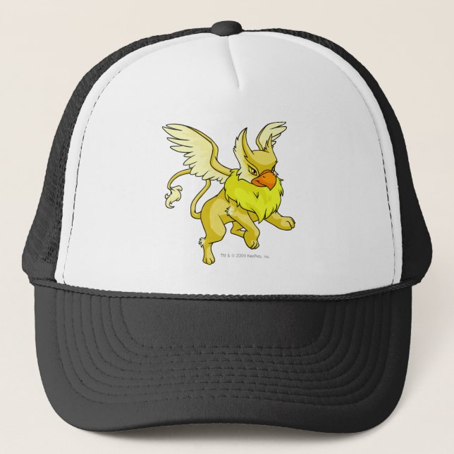 Casquette Jaune d'aire (Devant)