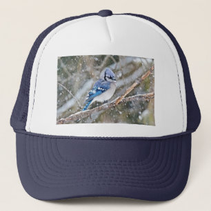 Casquette Jay bleu dans une tempête de neige