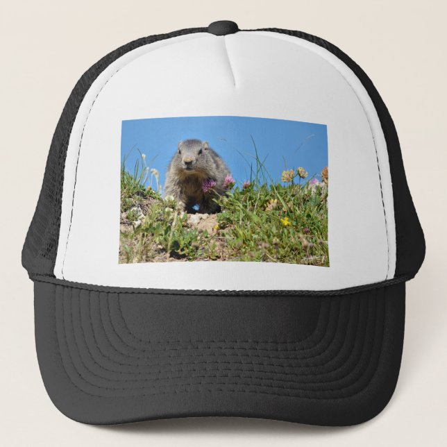 Casquette Jeune marmotte alpine (Devant)