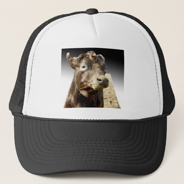 Casquette Jour du foin : Un moment Brown d’encrassement de l (Devant)