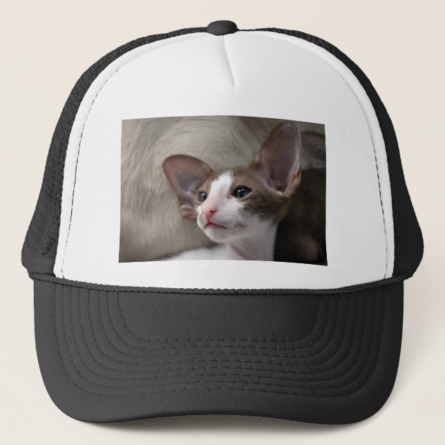 Casquette Kitten siamois avec de grandes oreilles (Devant)