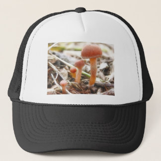 Casquette La famille de champignon