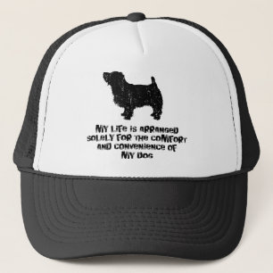 Casquette La Norfolk Terrier