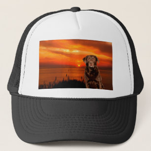 Casquette Labrador Retriever Chien assis à côté du coucher d