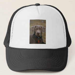 Casquette Labrador retriever en argent léger rare