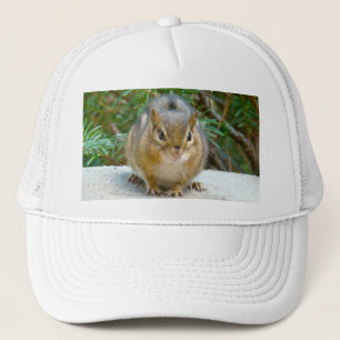 Casquette Le Cute Chipmunk A L'Oeil Sur Vous