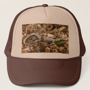 Casquette Le lézard d'émeraude Salamander sur la terre