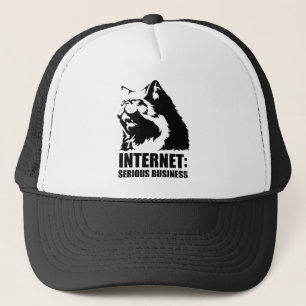 Casquette le lolcat l'Internet est des affaires sérieuses