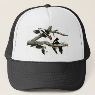 Casquette Le pivert Ivoire-affiché d'Aububon dans l'arbre d