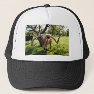 Casquette Le Texas Longhorn Taureau