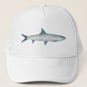 Casquette Léon hawaïen